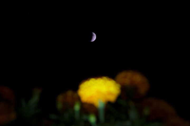 Photos: Beautiful scenes of lunar eclipse above Imam Reza holy shrine