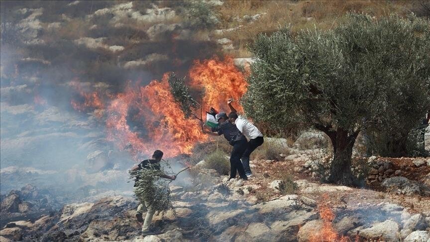 Jewish settlers torch farmland in Yatma and destroy olive trees in Far’ata