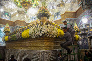Photos: Hazrat Masoumeh shrine decorated with flowers on occasion of anniversary of her arrival in Qom