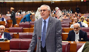 Pakistan Engages European Country to Retrieve Ex-Senator Captured in Israeli Raid on Gaza aid Flotilla