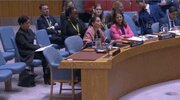 Izrael počinio genocid u Gazi putem reproduktivne supresije, tvrdi palestinsko-američka naučnica pred Vijećem sigurnosti UN-a