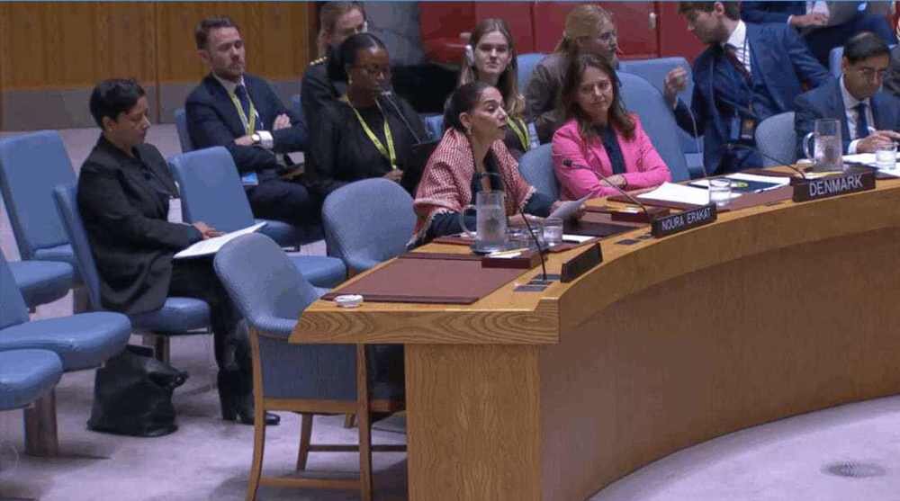 Izrael počinio genocid u Gazi putem reproduktivne supresije, tvrdi palestinsko-američka naučnica pred Vijećem sigurnosti UN-a