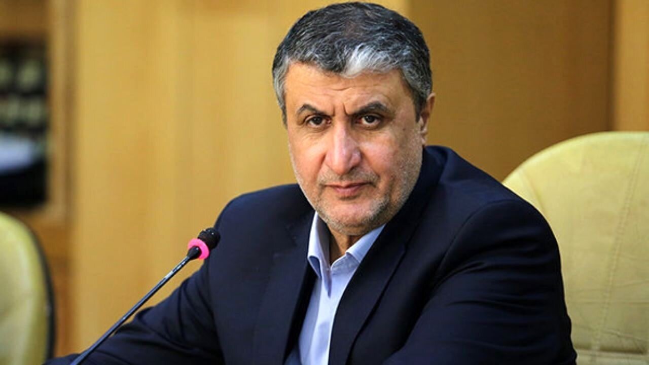 Iran to Build Eight Nuclear Power Plants with Russia, Says AEOI Chief
