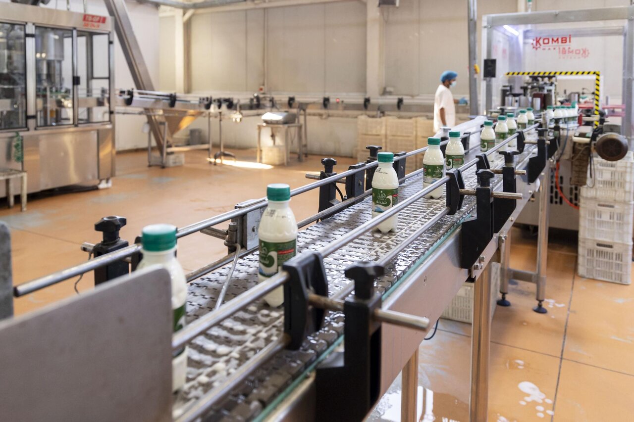Al-Kafeel Dairy Factory Produces 120 Tonnes Daily to Support Iraqi Market