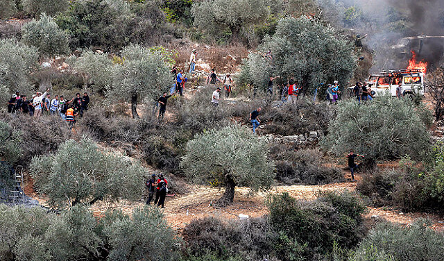 Extremist Israeli settlers torch Palestinian vehicles and steal crops in West Bank