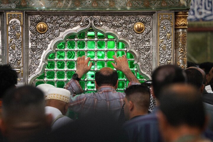 تصاویر | گل‌آرایی حرم و ضریح مطهر امام علی(ع) در آستانه میلاد فرخنده حضرت زینب(س)