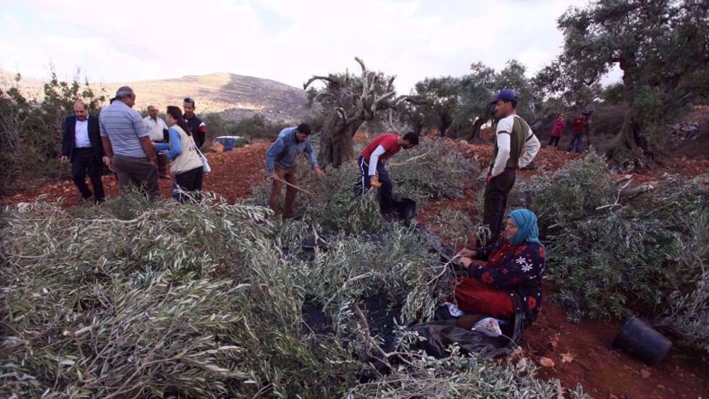 Hamas Slams Settlers Violence as Terror Policy