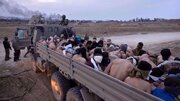 Hamas i Islamski džihad osuđuju izraelski prijedlog zakona o pogubljenju palestinskih zatvorenika