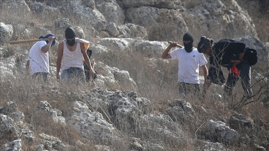 Criminal settlers attack Palestinians and torch vehicles in West Bank and Jerusalem