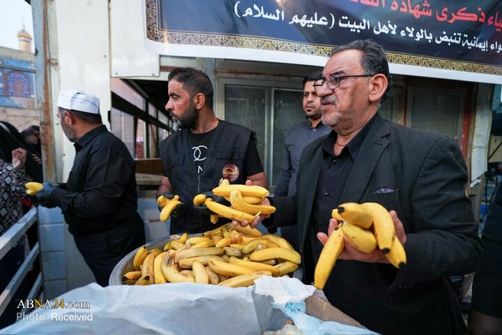 سالگرد وفات فرزند امام کاظم ع