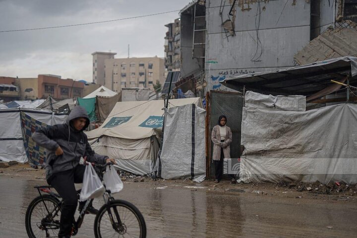 Gaza