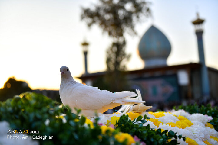 shahcheragh