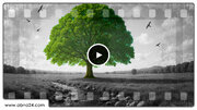 Video: Hazrat Zahra; Receptacle of Divine Authority, Embodiment of Surah al-Qadr