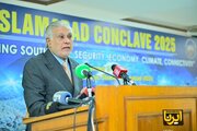 جنوبی ایشیا کا استحکام خطرے میں ہے، علاقائی تعاون کی ضرورت پر زور:پاکستان کا انتباہ