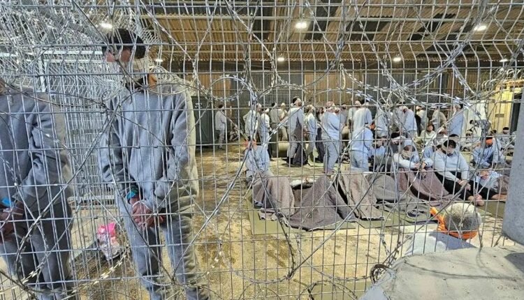 Palestinian Prisoners’ Office: 84 detainees martyred in Israeli custody since October 7