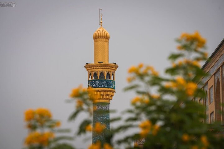 عکس خبری | آذین‌بندی حرم نورانی علوی به مناسبت میلاد بانوی دو عالم