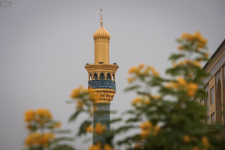 Najaf