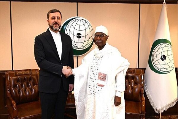 Iran’s Deputy FM meets with OIC SG in Riyadh to discuss Gaza