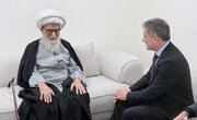 EU Ambassador to Iraq Meets with Grand Ayatollah Sheikh Bashir Najafi
