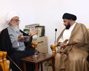 Grand Ayatollah Bashir Najafi emphasizes preservation of Shia identity in Europe