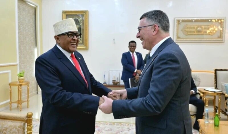 Izrael u Somalilandu / Partnerstvo nakon priznanja