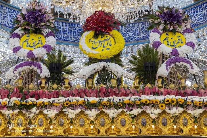 حال و هوای حرم باب‌الحوائج قمربنی‌هاشم‌(ع) در شب میلاد ساقی عطشان کربلا