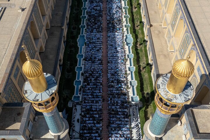 Taklif