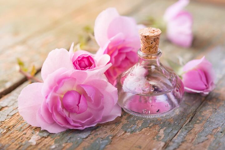 فضیلت گلاب؛ نگاهی به ابعاد معنوی و برکات دنیوی در پرتو کلام امام صادق (ع) و آموزه‌های قرآنی