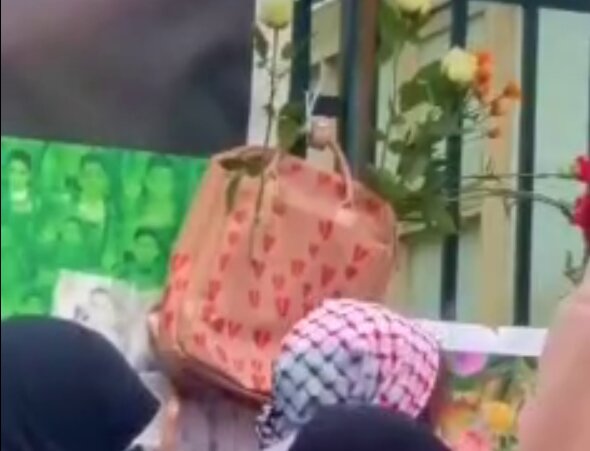 ویدیو | هم‌دلی مردم هلند با شهدای دانش آموز مدرسه میناب