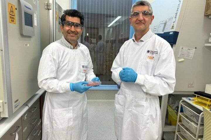 INSF, BRICS STI Framework to support implementation of joint research projects