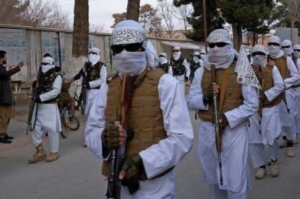افزایش فعالیت شبکه‌های فراملی در افغانستان زیر سلطه طالبان