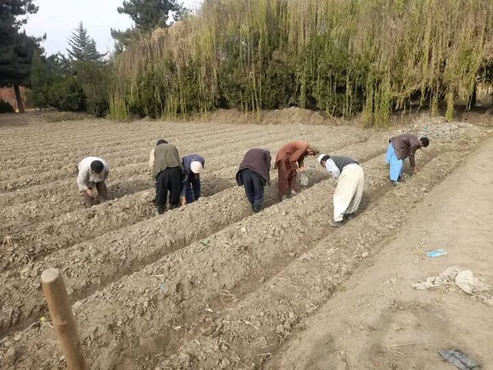 خوشحالی شیعیان روستایی استان بلخ افغانستان از بارندگی‌ها / مسئولان به ساختن سدهای آب توجه کنند