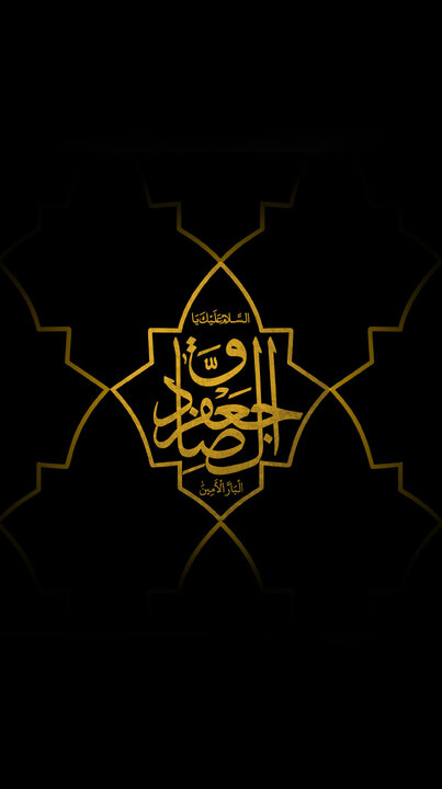 ویدیو | آخر یه روز شیعه برات حرم می‌سازه...