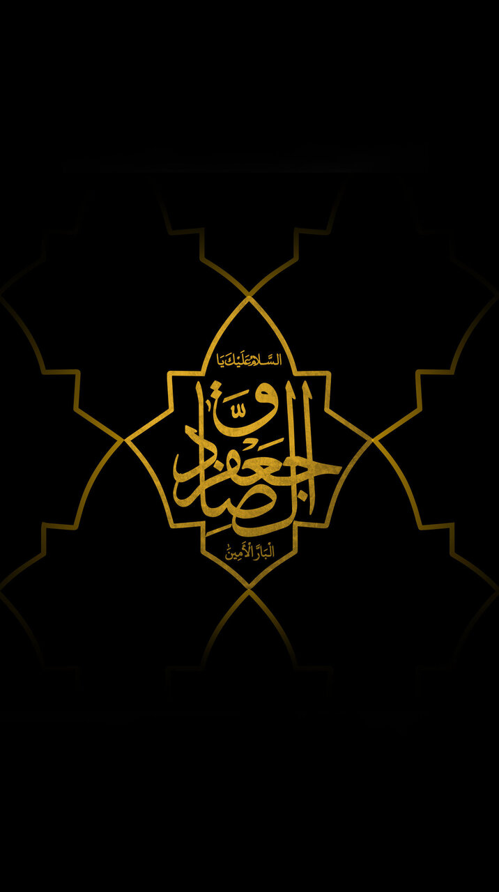 ویدیو | آخر یه روز شیعه برات حرم می‌سازه...