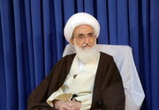Grand Ayatollah Nouri Hamedani Thanks Pope Leo XIV for 'Courageous Stance' Against US Arrogance, Zionist Atrocities