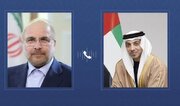 Iran's Parliament Speaker, UAE vice president discuss regional developments