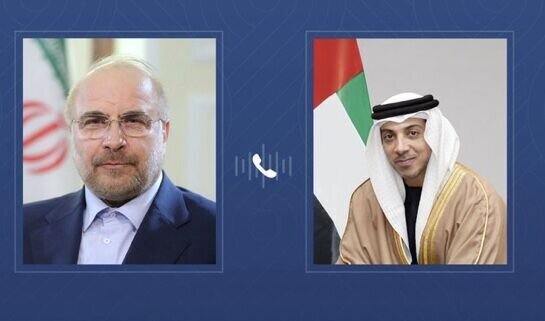 Iran's Parliament Speaker, UAE vice president discuss regional developments
