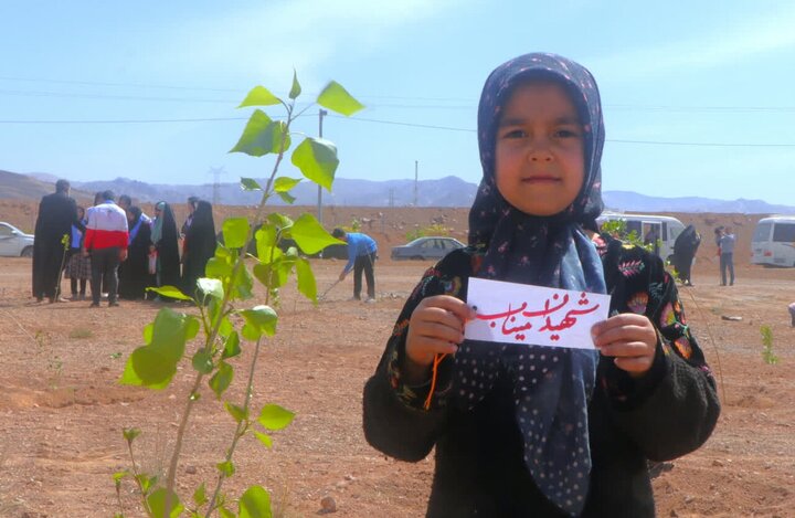 «نهال امید» در قم؛ مشارکت خانه طلاب جوان و هلال احمر در طرح زیست‌محیطی