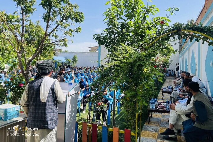 کانگورو