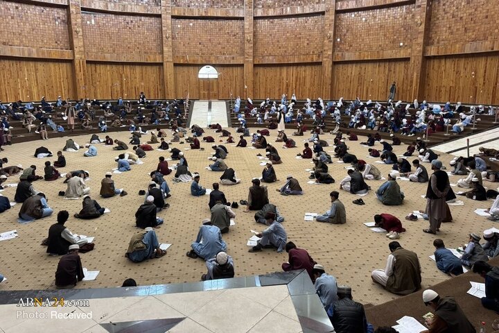کانگورو