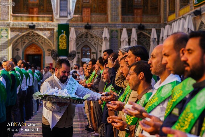 حال و هوای حرم مطهر امام علی(ع) در ایام ولادت امام رضا(ع)