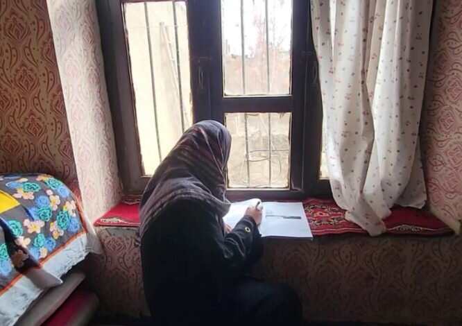 ارائه رایگان دروس تحصیلی برای دختران محروم از مدرسه از سوی پلتفرم «SOLAx»