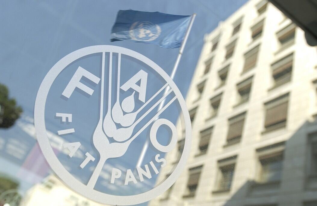 Iran's FAO Envoy: No 'Humiliating Peace' While Facing Blockades, Sanctions