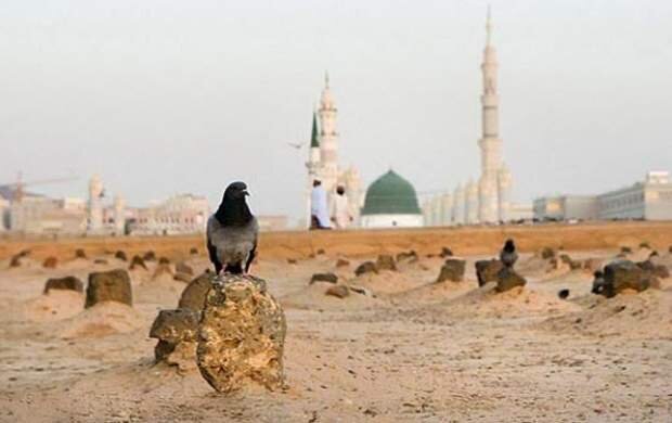 بقیع، این »حرم بی‌حصار و کعبۀ بی‌پرده مدینه«