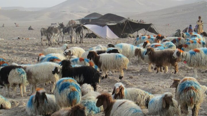 تداوم منازعه کوچی‌ها و هزاره‌ها در میدان‌وردک؛ نگرانی‌ها از «حمایت سیستماتیک طالبان» و تشدید فشار بر شیعیان افغانستان