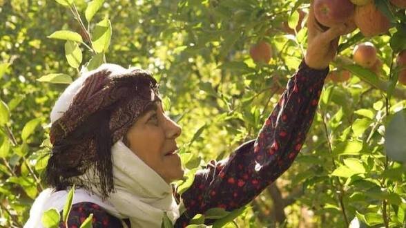 سریال «مادران»؛ روایت تازه‌ای از ایثار مادران شهدا در قاب تلویزیون