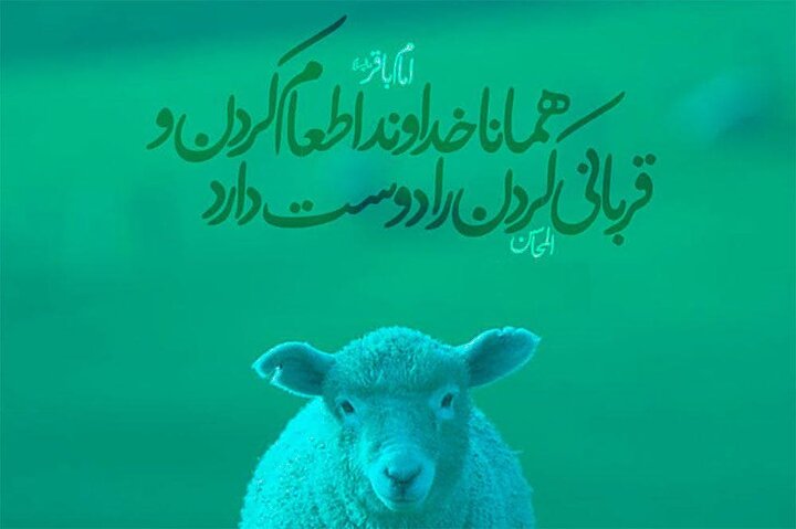 نسبت ولایت الهی و پذیرش قربانی در اندیشه‌های شیعی
