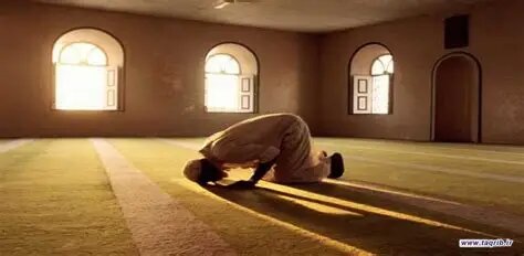نماز صبح و فواید روحی، روانی و جسمی آن، و آنچه علم مدرن در مورد زمان فجر می‌گوید؟