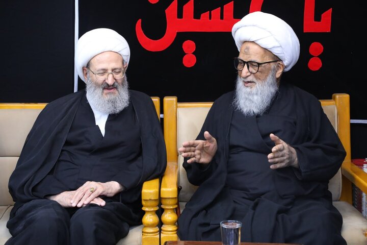 حضور آیت‌الله فقیهی در نجف اشرف؛ از ادای احترام به آیت‌الله فیاض تا گفت‌وگو با آیت‌الله بشیر نجفی + تصاویر
