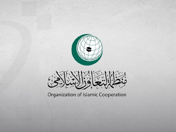 سازمان همکاری اسلامی حملات اسرائیل به سوریه را به شدت محکوم کرد/ تأکید بر حمایت از حاکمیت و تمامیت ارضی سوریه